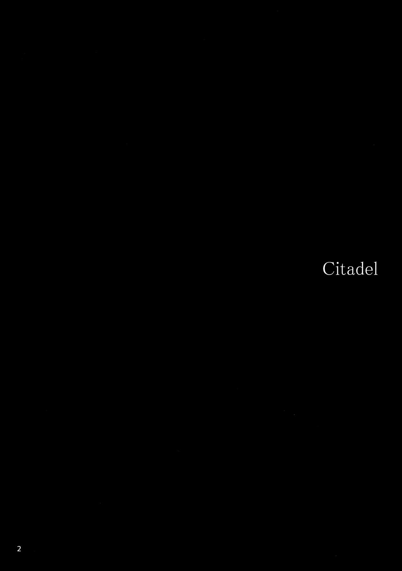 Citadel - Foto 4